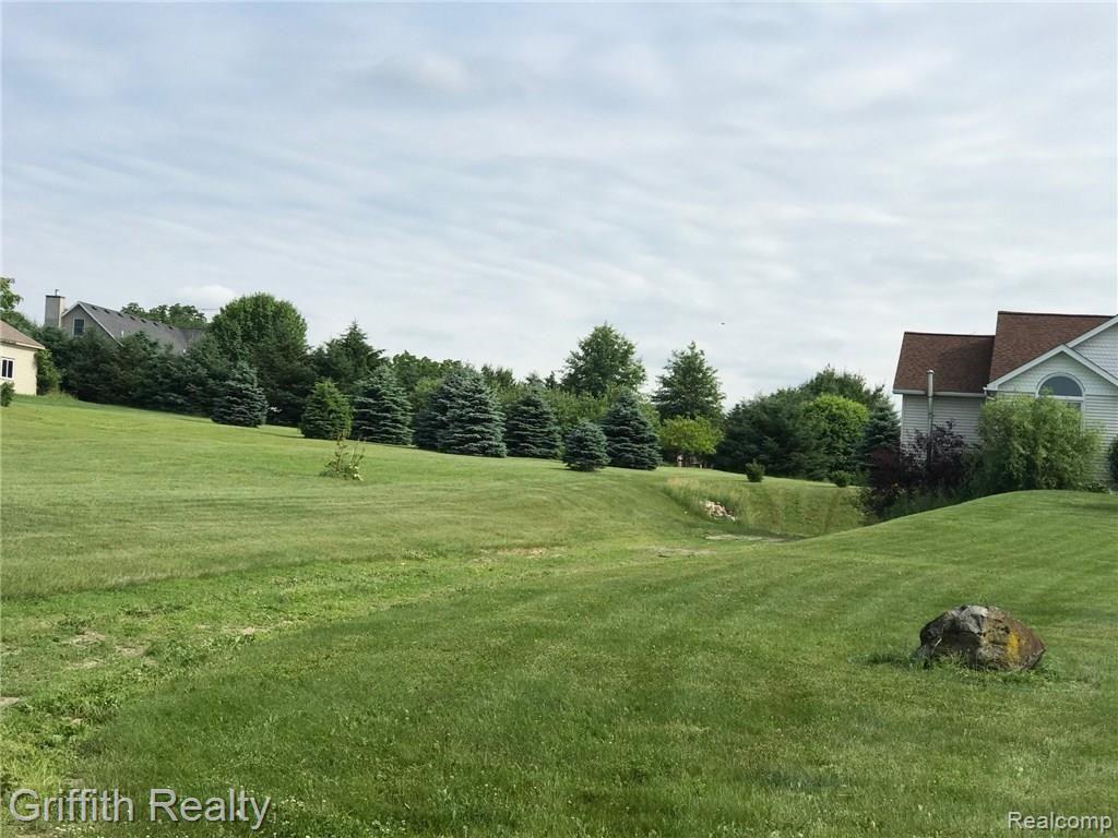 6101 West Hayner Road Fowlerville, MI 48836 - Photo 11 of 41 IMG_2023 - Copy (3) - Copy - Copy.jpg