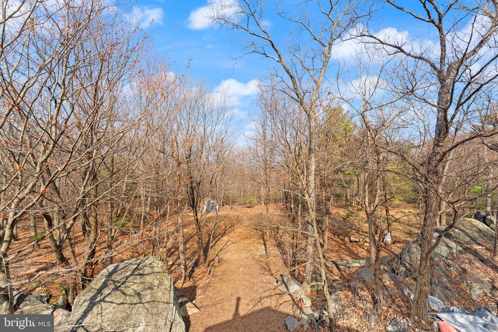 2604 Lookout Road Haymarket, VA 20169 - Photo 29 of 35