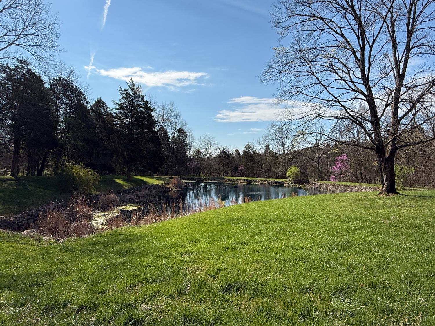 15536 Lewis Road Moores Hill, IN 47032 - Photo 3 of 15