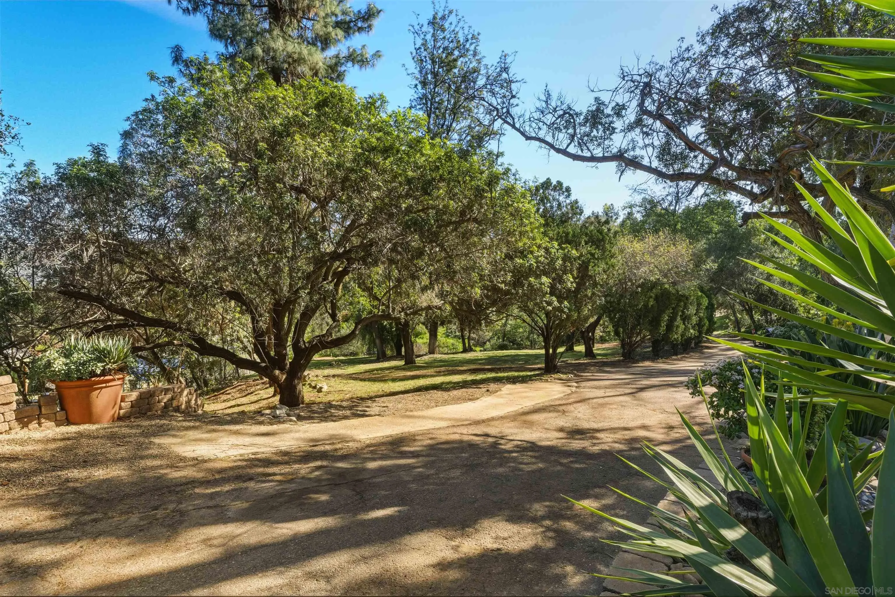 11618 Johnson Lake Road Lakeside, CA 92040 - Photo 20 of 25 a view of a yard with plants and trees