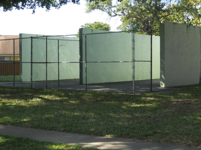 a view of a yard with plants and large trees