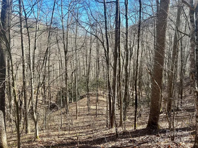 $64,900 | 0 Deep Gap View, Unit 52&53, Whittier, NC 28789