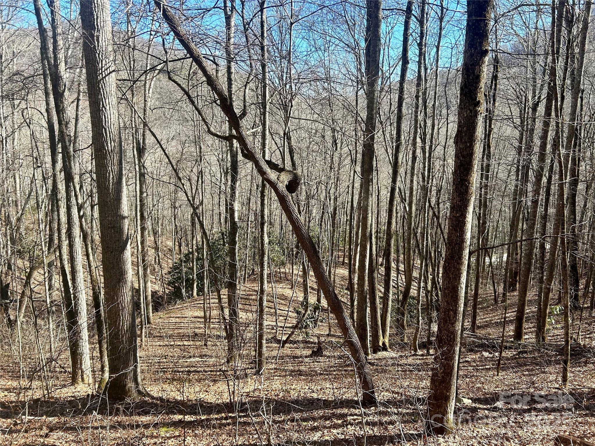 0 Deep Gap View, Unit 52&53 Whittier, NC 28789 - Photo 2 of 10