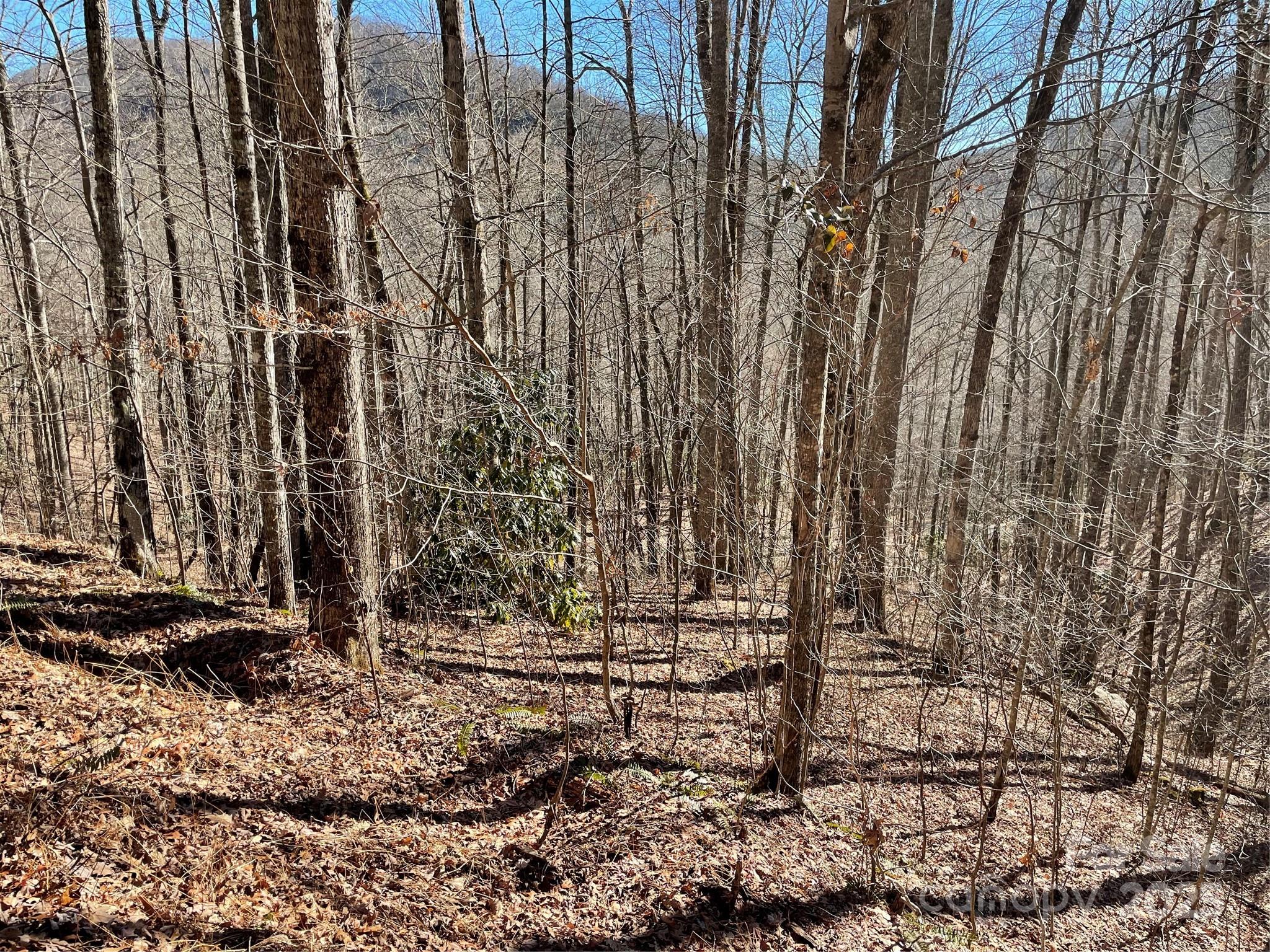 0 Deep Gap View, Unit 52&53 Whittier, NC 28789 - Photo 3 of 10