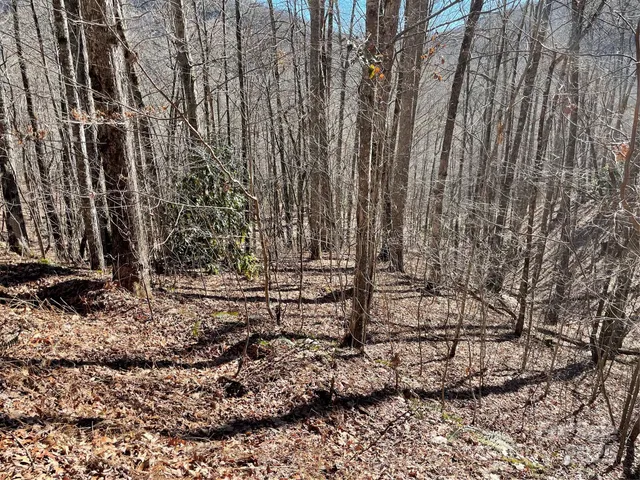 $64,900 | 0 Deep Gap View, Unit 52&53, Whittier, NC 28789