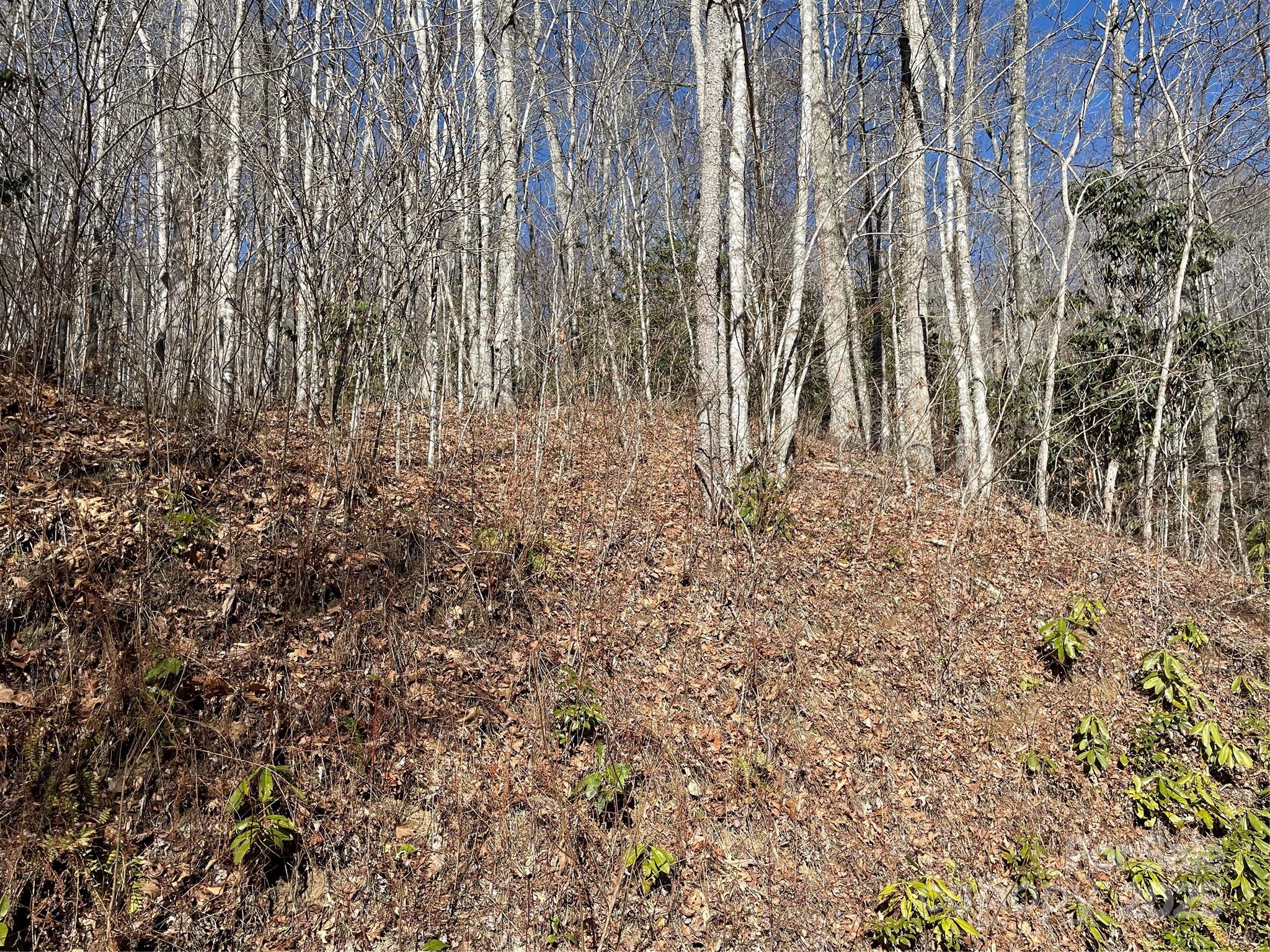 0 Deep Gap View, Unit 52&53 Whittier, NC 28789 - Photo 5 of 10