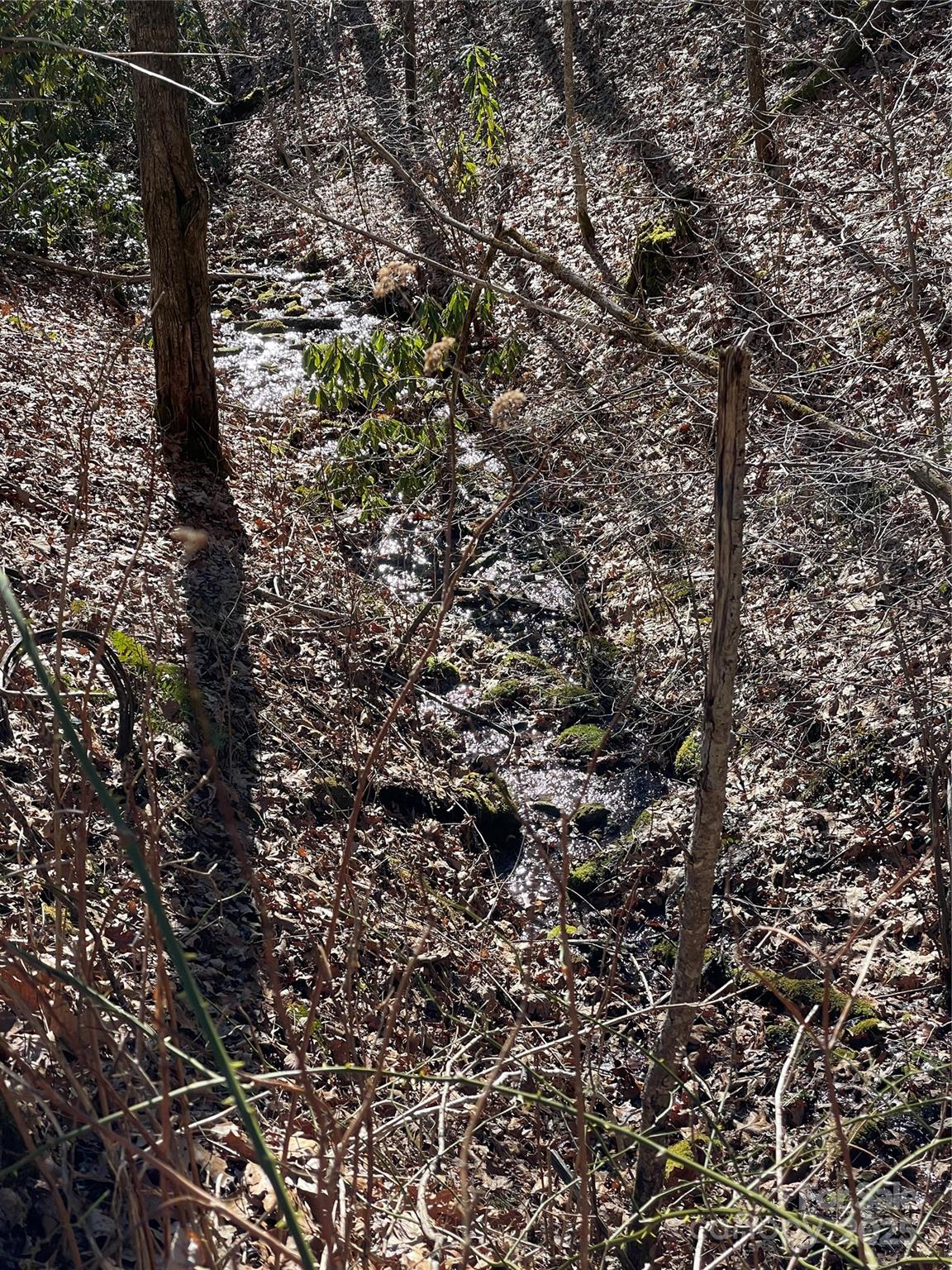 0 Deep Gap View, Unit 52&53 Whittier, NC 28789 - Photo 6 of 10