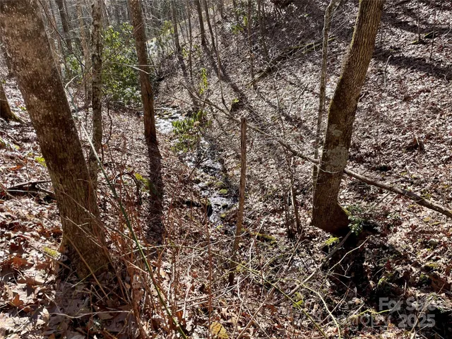 $64,900 | 0 Deep Gap View, Unit 52&53, Whittier, NC 28789