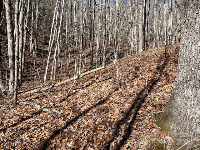 $64,900 | 0 Deep Gap View, Unit 52&53, Whittier, NC 28789