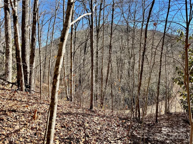 $64,900 | 0 Deep Gap View, Unit 52&53, Whittier, NC 28789