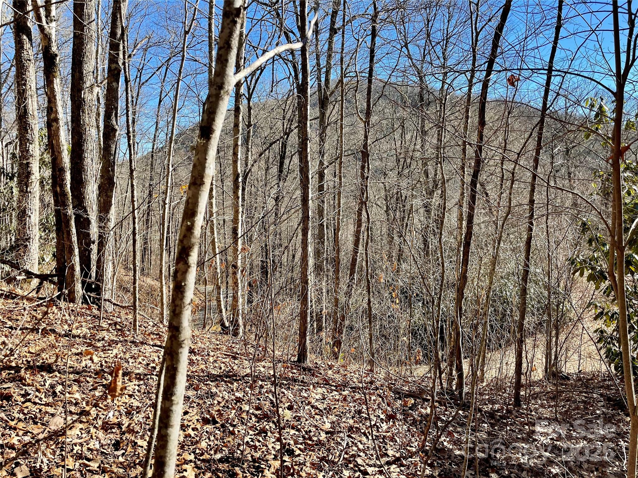 0 Deep Gap View, Unit 52&53 Whittier, NC 28789 - Photo 9 of 10