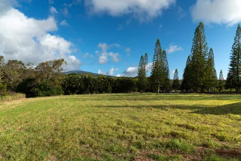 $1,400,000 | 221 Plantation Club Drive, Lahaina, HI 96761