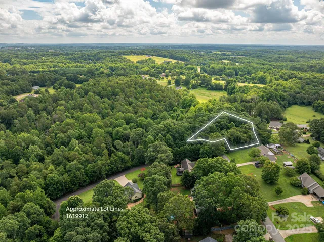 a view of a green field with lots of bushes