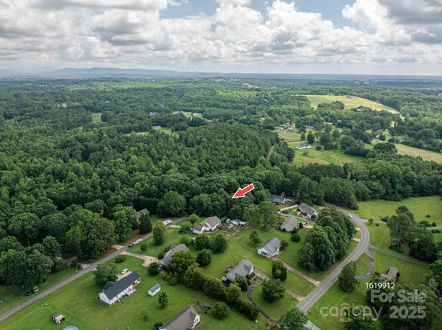 a view of a garden with a flower in a garden