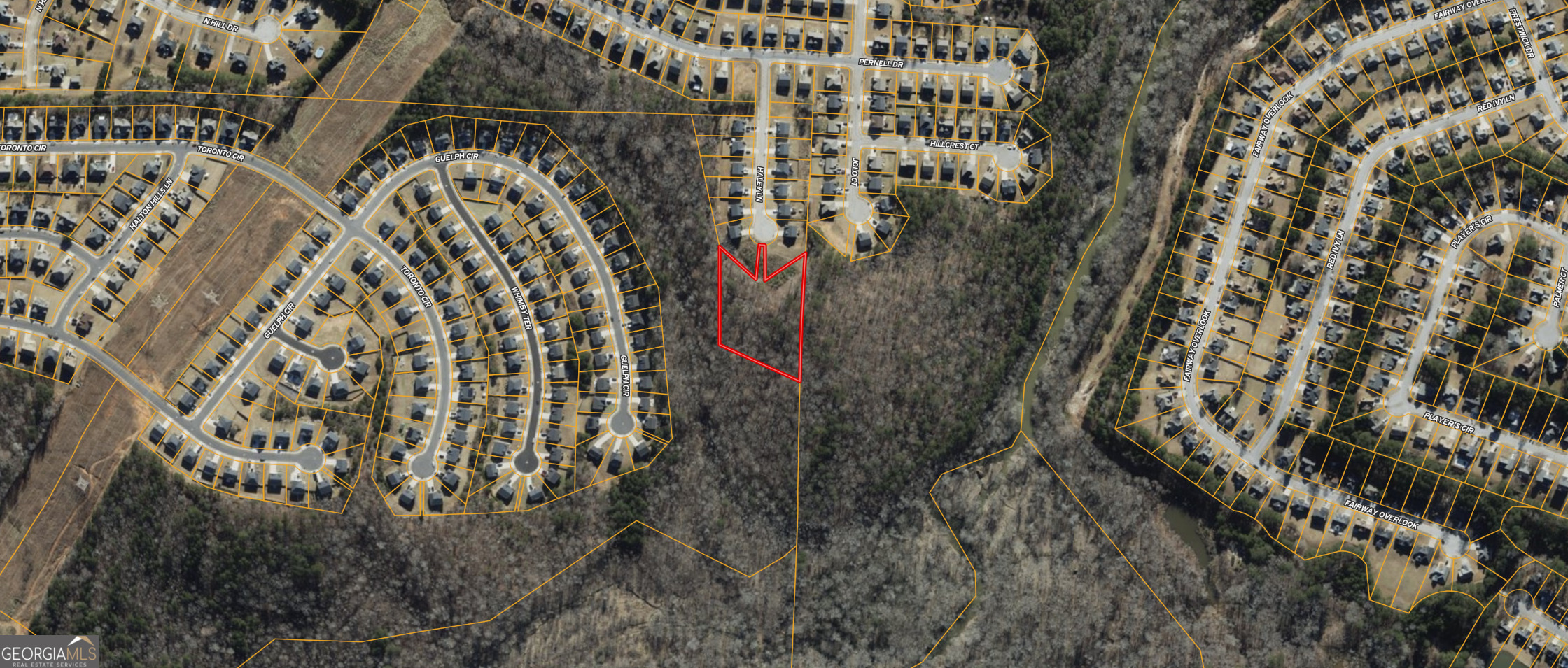 0 Haley Lane Hampton, GA 30228 - Photo 3 of 7