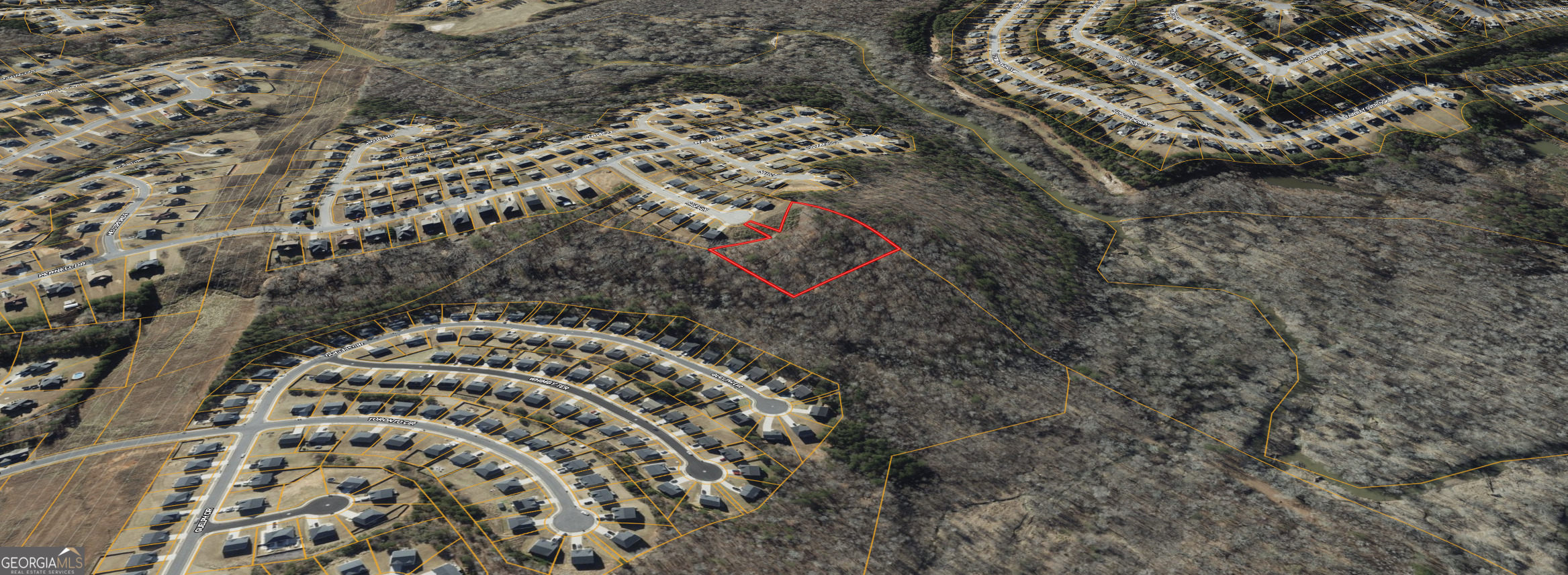 0 Haley Lane Hampton, GA 30228 - Photo 5 of 7