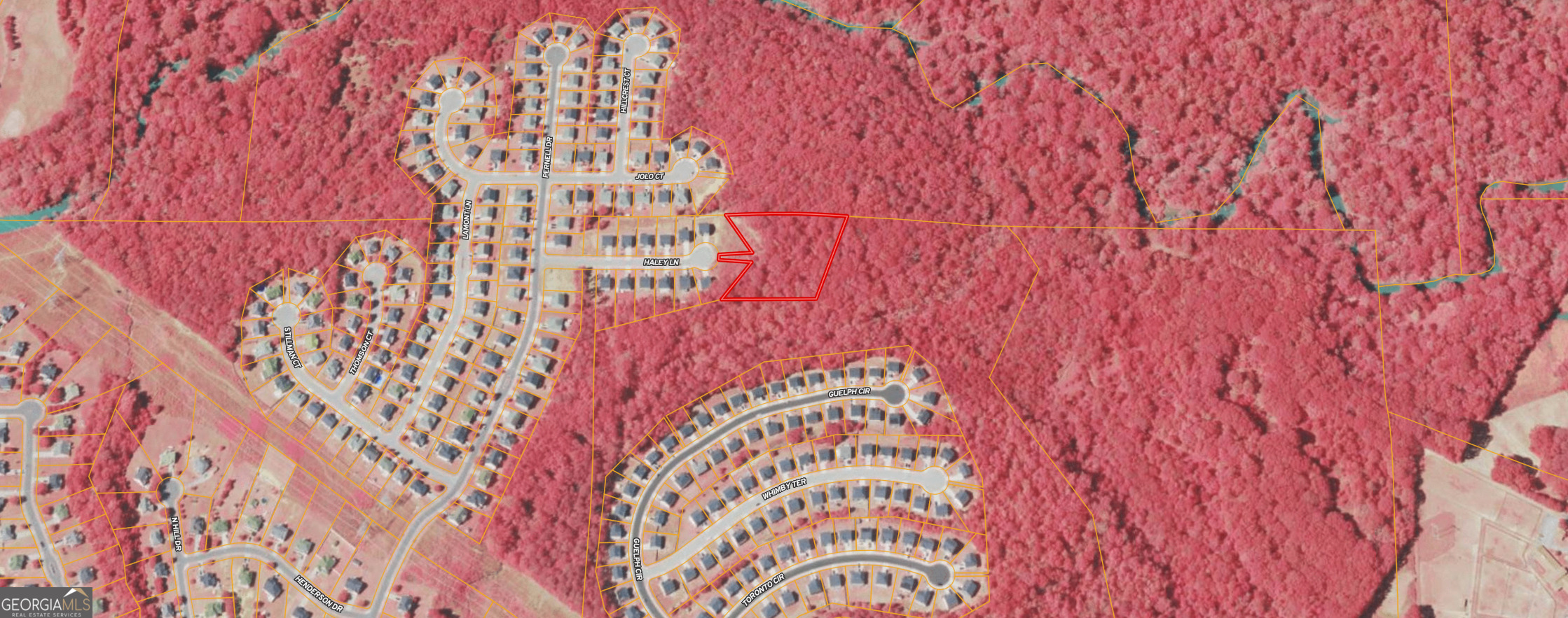 0 Haley Lane Hampton, GA 30228 - Photo 6 of 7