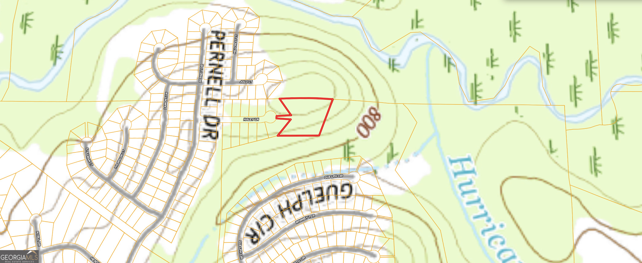 0 Haley Lane Hampton, GA 30228 - Photo 7 of 7