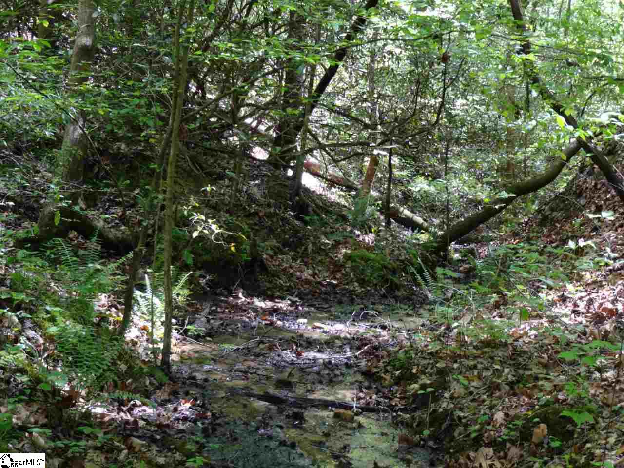 Beaver Dam Road Travelers Rest, SC 29690 - Photo 9 of 34 Gallery Image 9