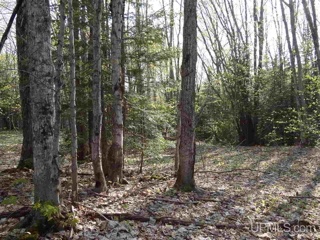 Tbd Rauhala Road, Unit PARCEL 2 Atlantic Mine, MI 49931 - Photo 13 of 19 Gallery Image 13