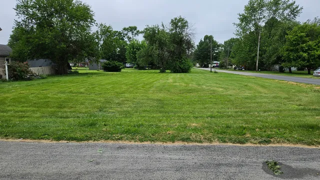 a view of a grassy field with trees