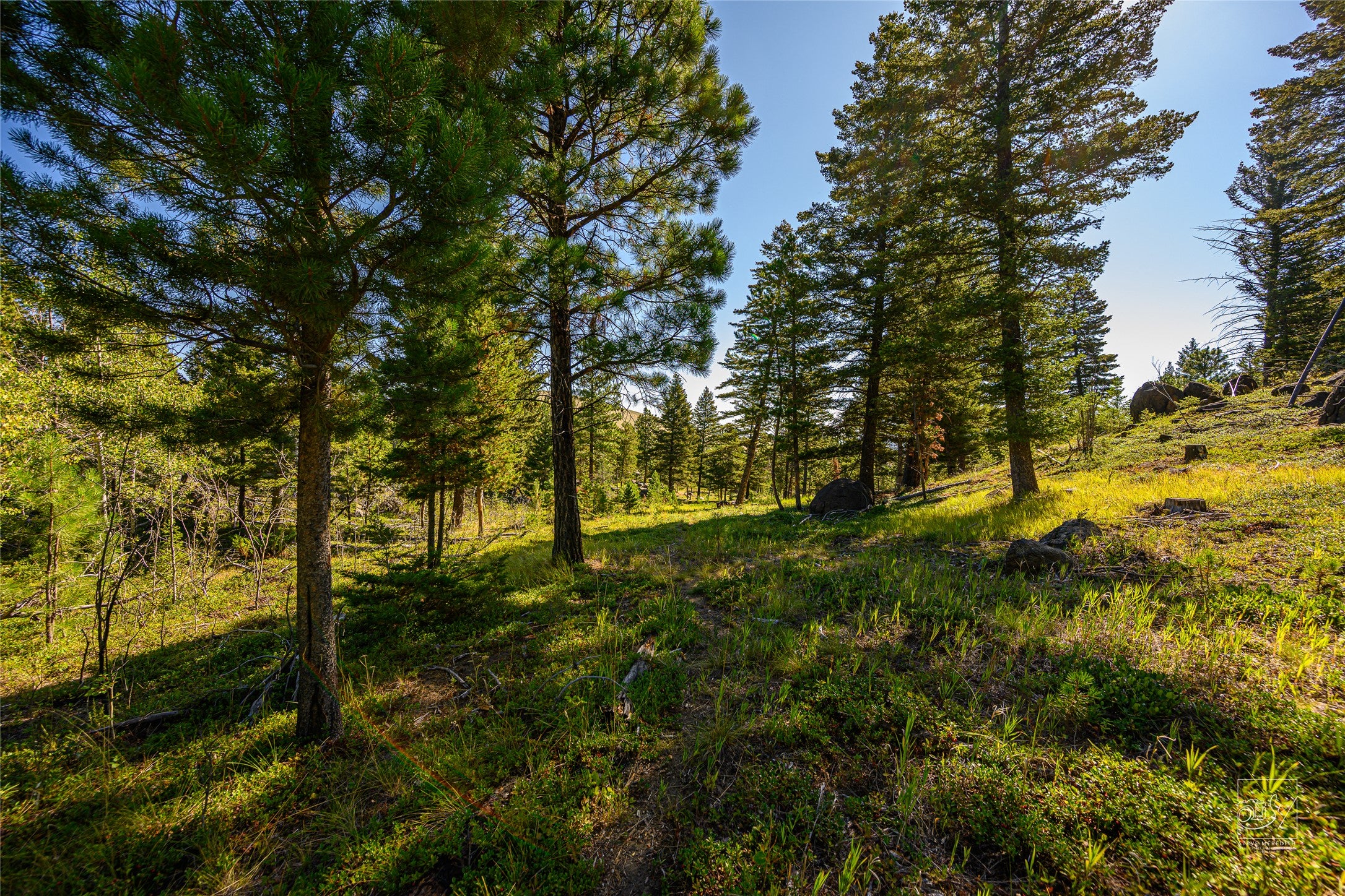 A1 Hill Brothers Road Clancy, MT 59634 - Photo 4 of 26 Gallery Image 4