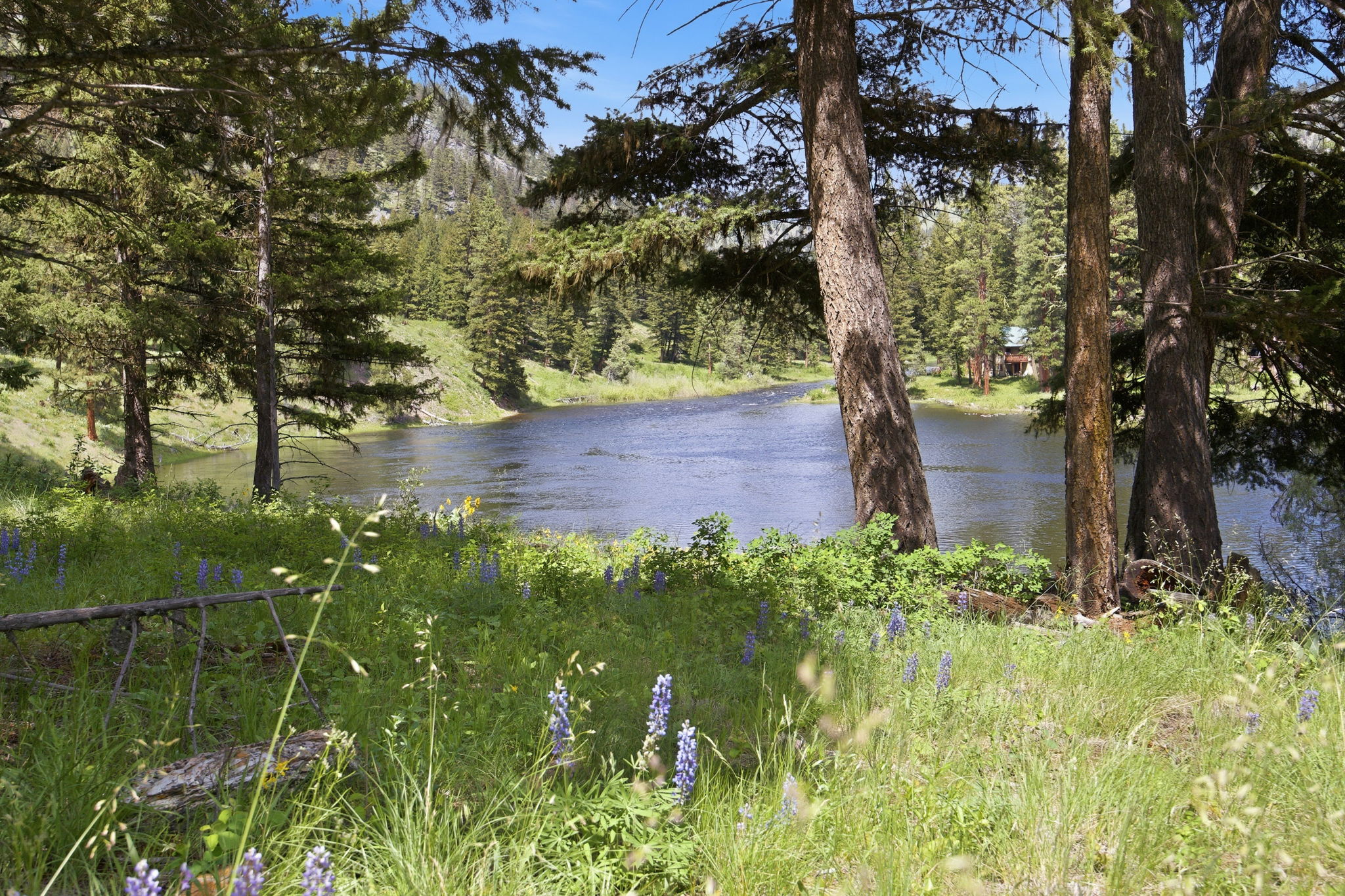 3 Big Waters Ranch Road Seeley Lake, MT 59868 - Photo 2 of 49 Gallery Image 2
