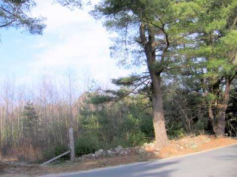 0 Pound Road Glocester, RI 02814 - Photo 3 of 3 Other.