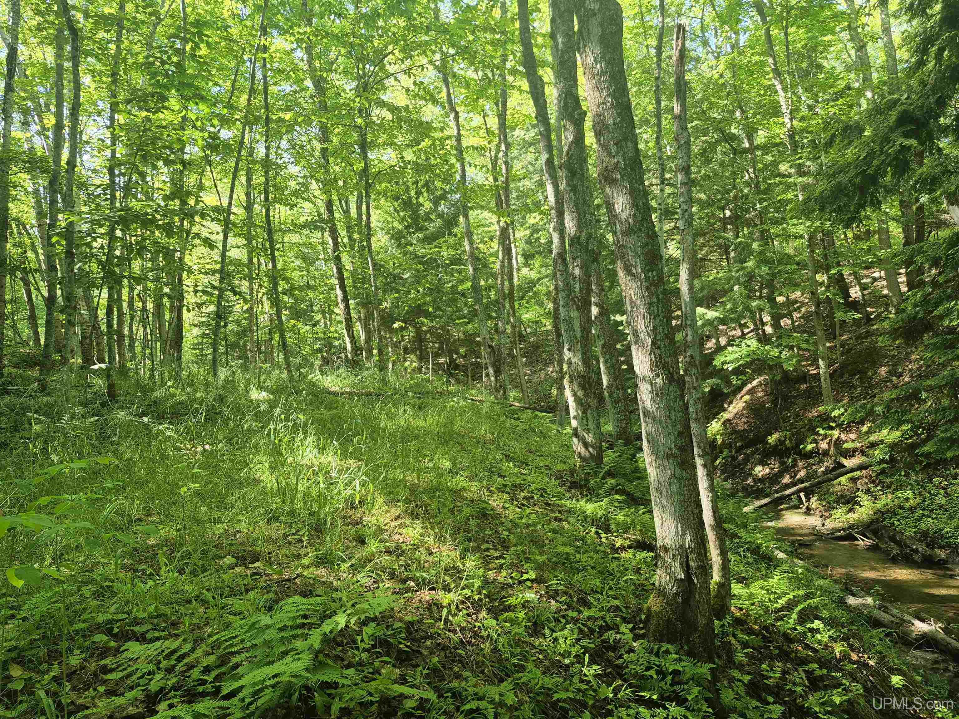 8-acres Nestor Road Munising, MI 49862 - Photo 25 of 43