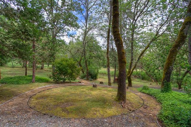 7192 Lower River Road Grants Pass, OR 97526 - Photo 24 of 30 a view of a tree in a yard