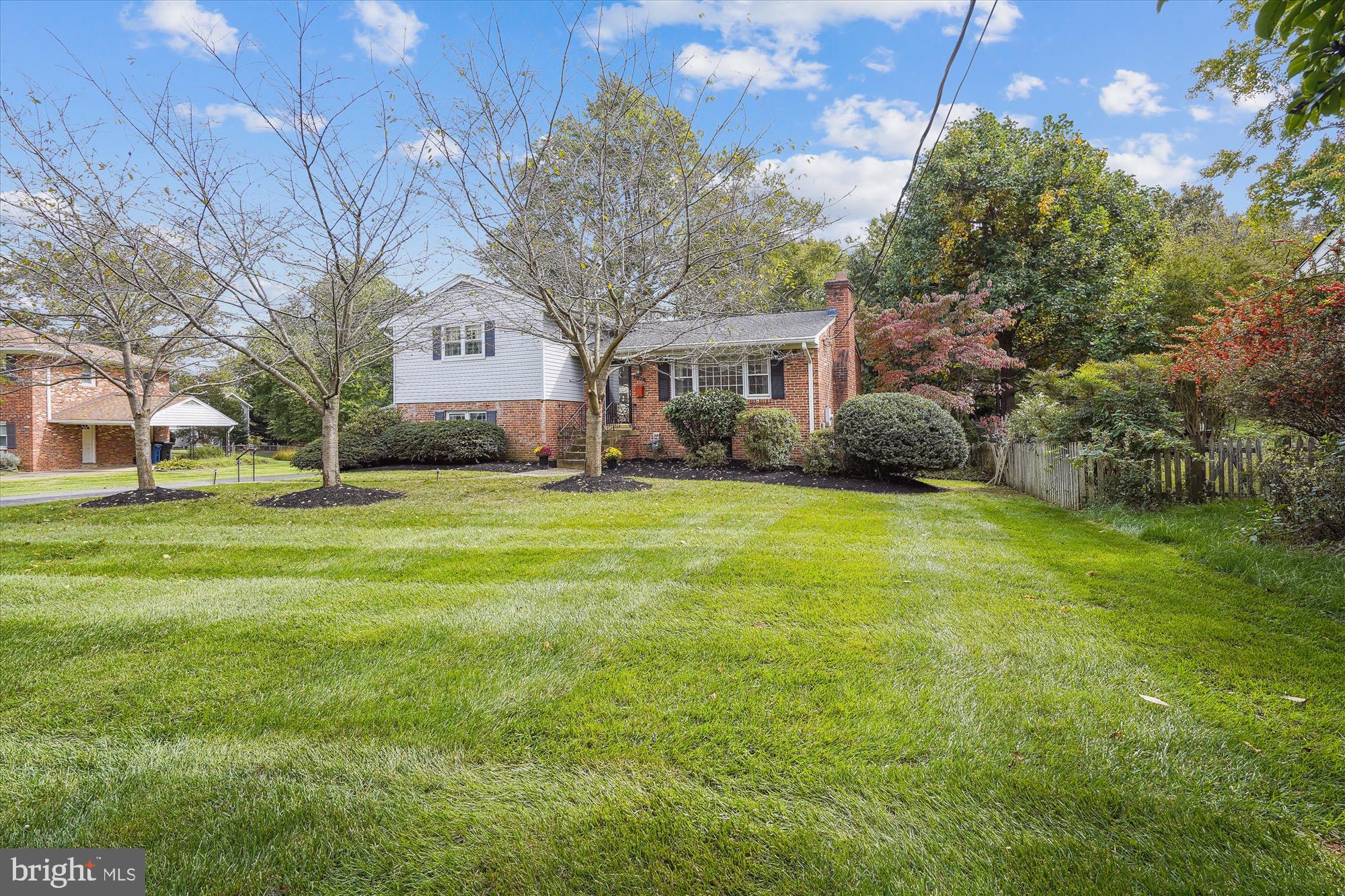 7107 Purdue Place McLean, VA 22101 - Photo 6 of 78 Cherry Trees Line the Sidewalk to the Front Door