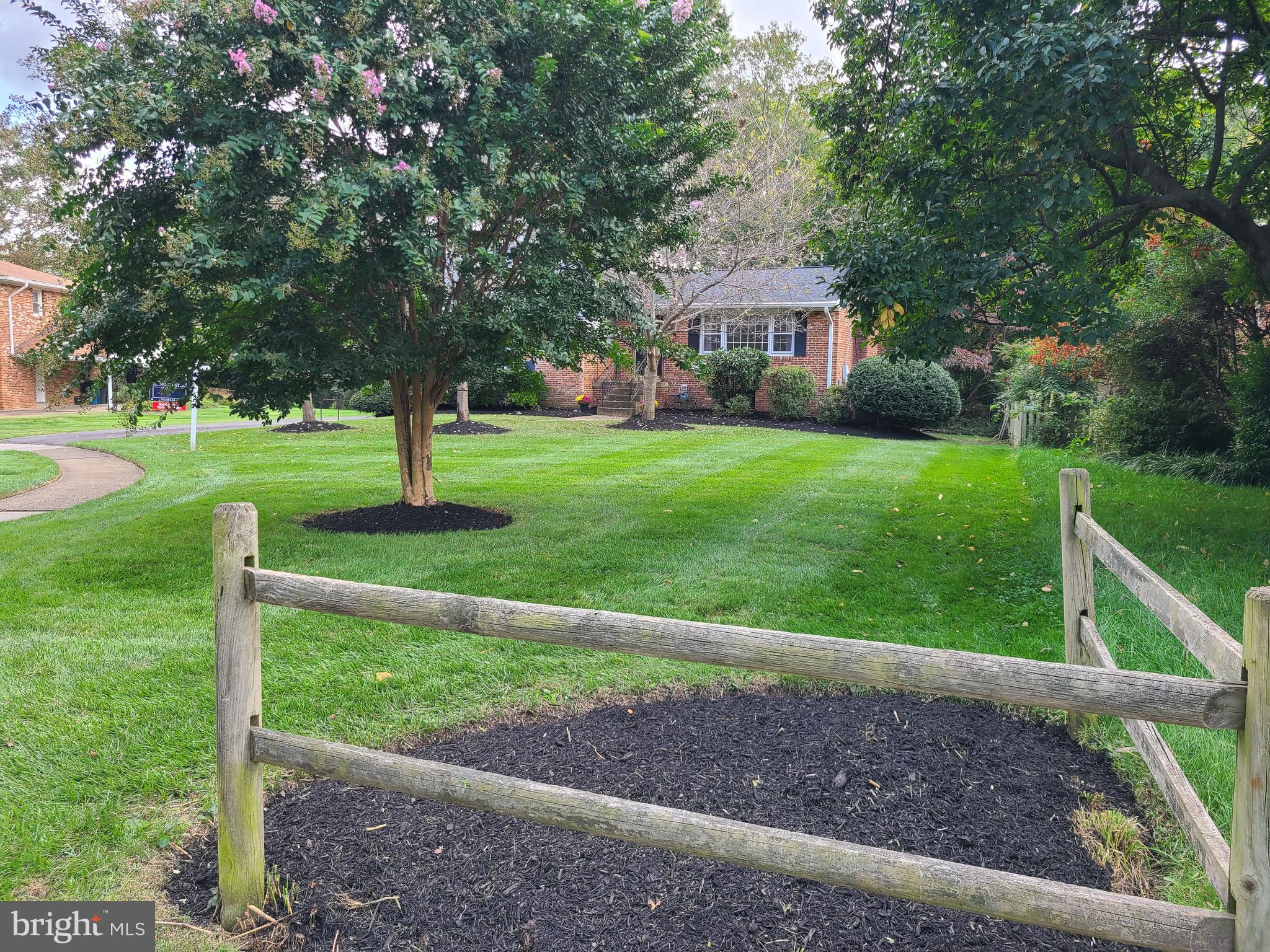 7107 Purdue Place McLean, VA 22101 - Photo 7 of 78 Mature Crepe Myrtle, Cherry Trees, and Flower Beds