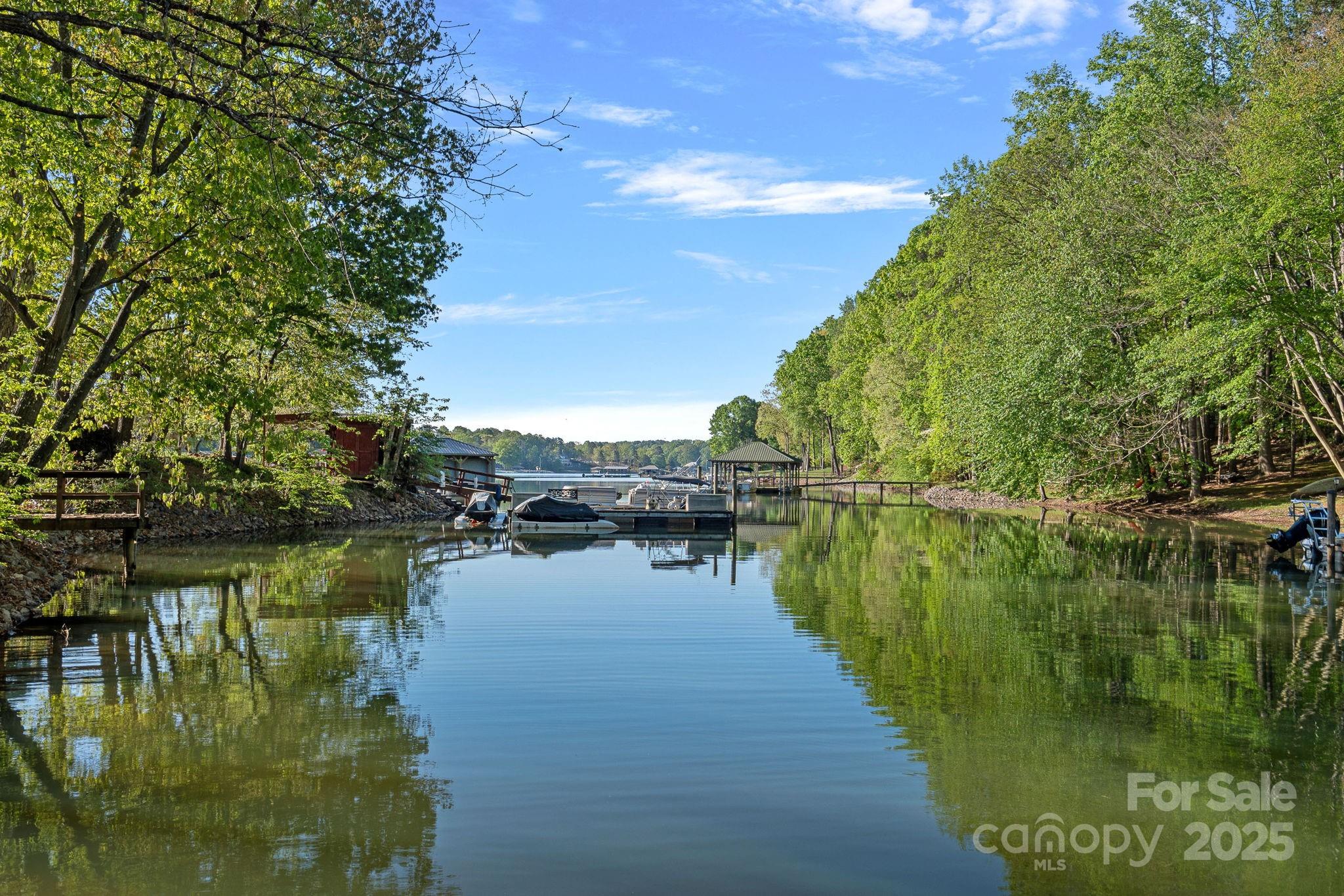 327 Kenway Loop Mooresville, NC 28117 - Photo 42 of 46 a view of lake