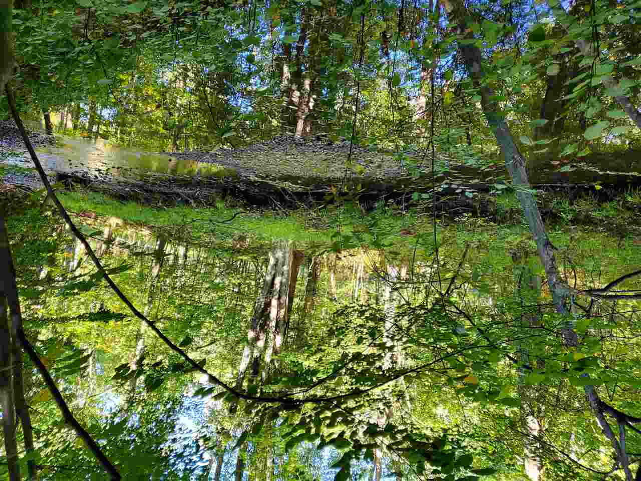 West Fike Road Coleman, MI 48618 - Photo 19 of 26