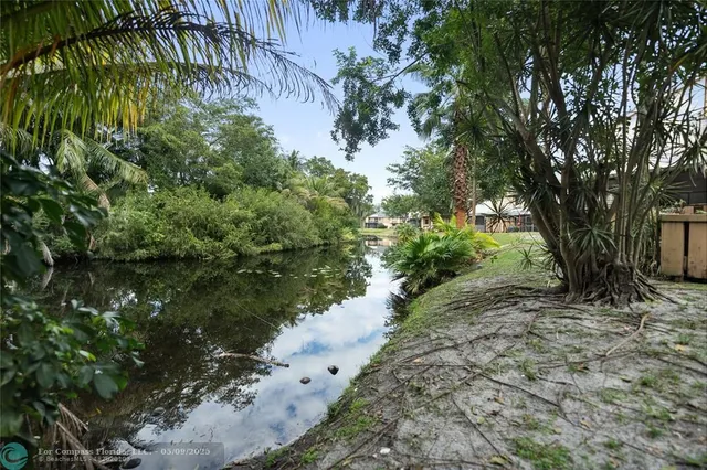 a view of a pathway with a tree