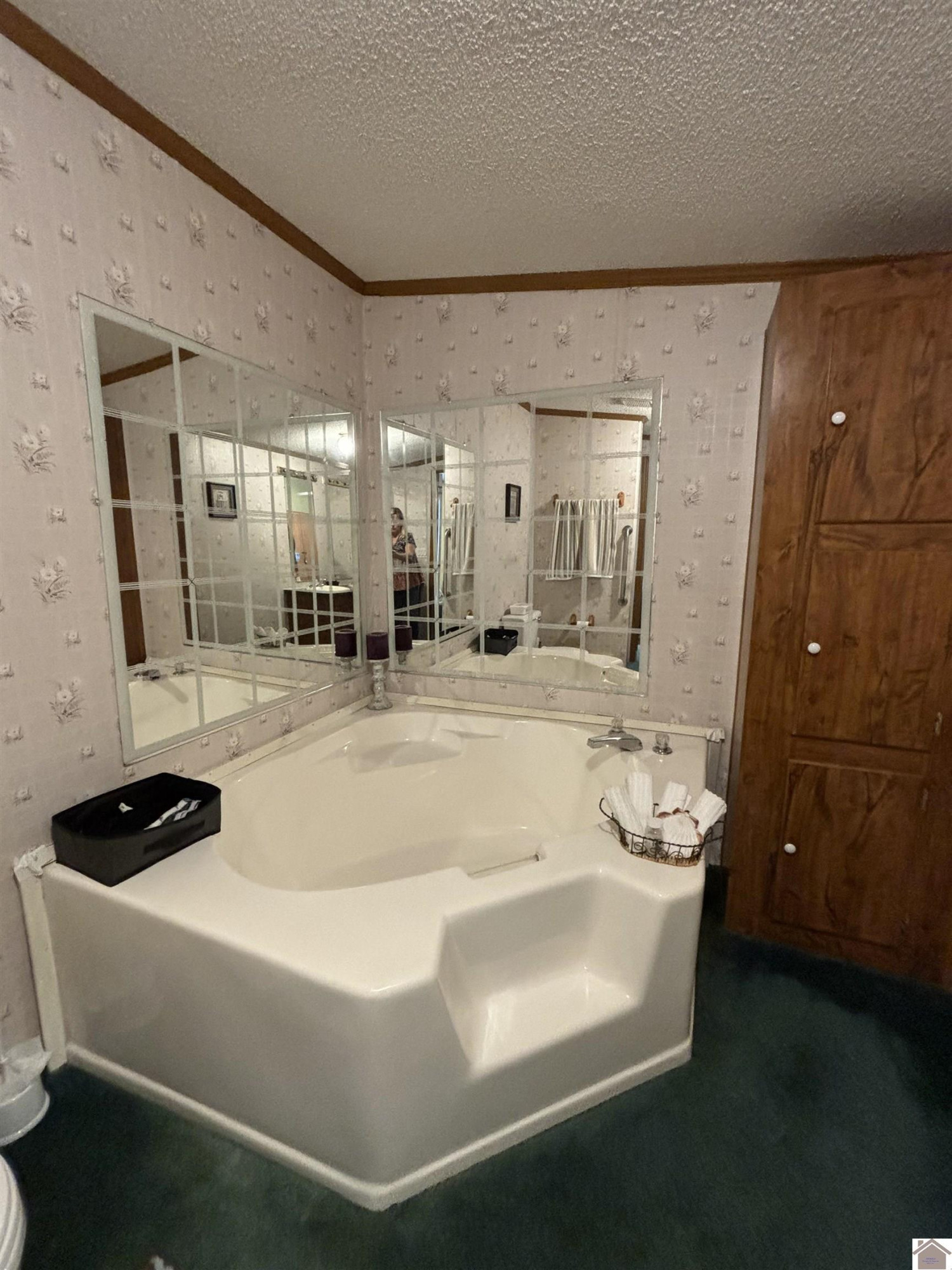 254 A H Clements Road Marion, KY 42064 - Photo 11 of 31 Primary Ensuite