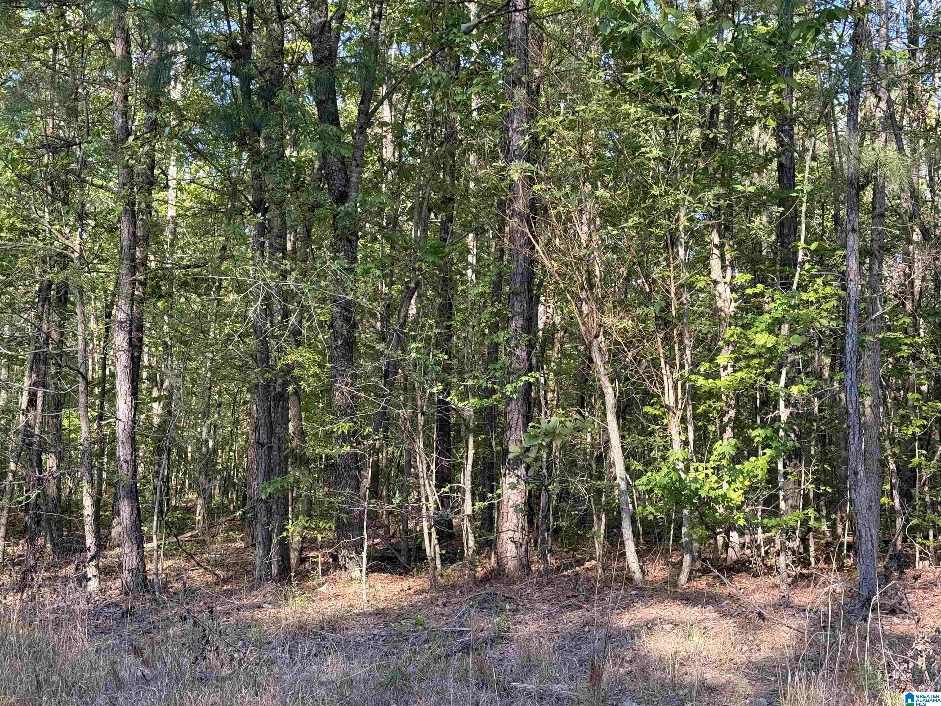 0 Piney Woods Road, Unit 3 Vincent, AL 35178 - Photo 8 of 16