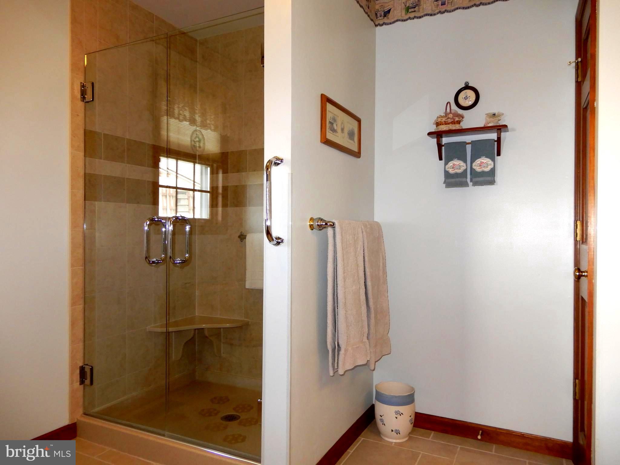 1141 Tuckerton Road Reading, PA 19605 - Photo 34 of 50 Walk In Shower