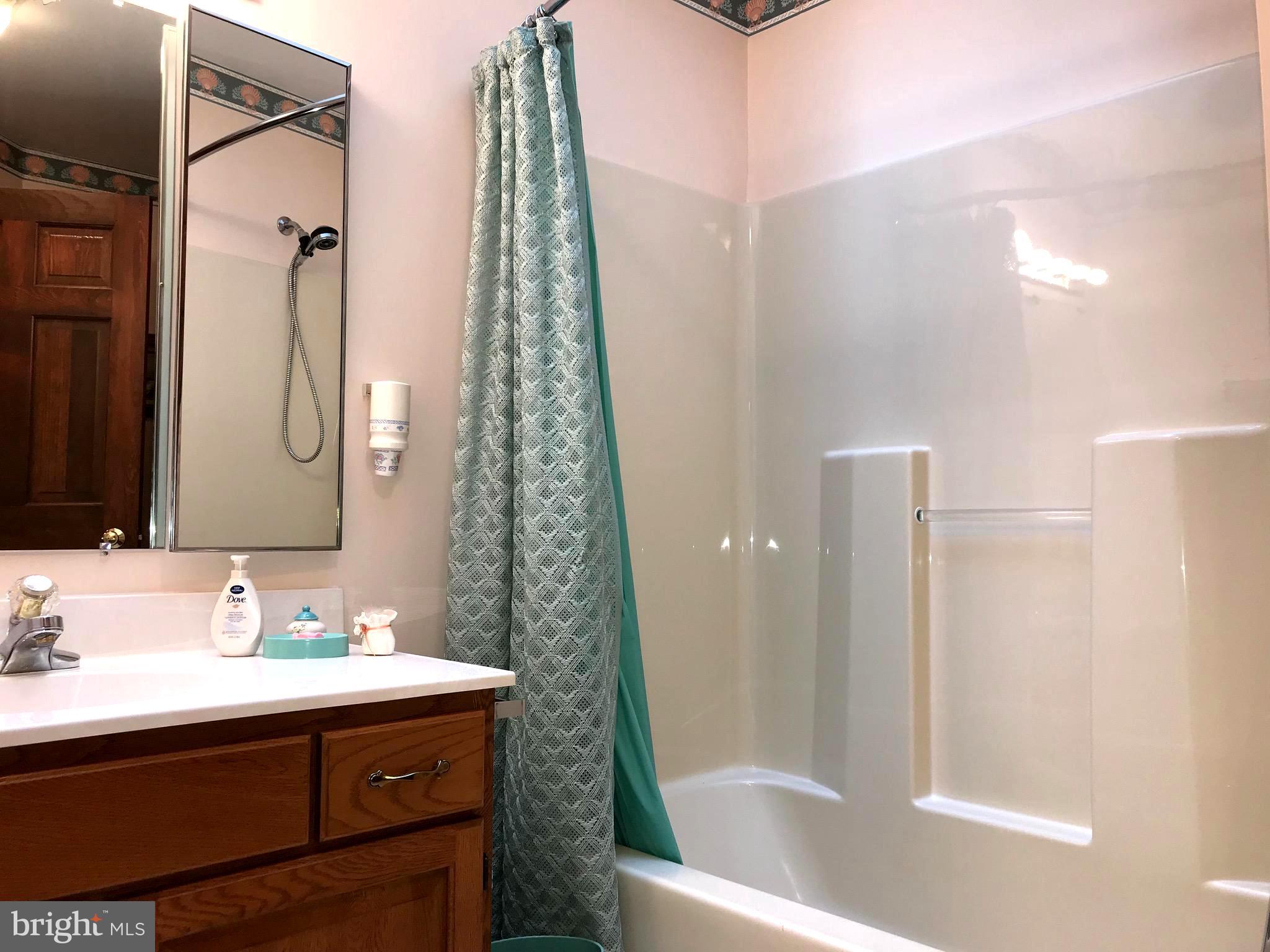 1141 Tuckerton Road Reading, PA 19605 - Photo 41 of 50 2nd Bath with Tub and Shower