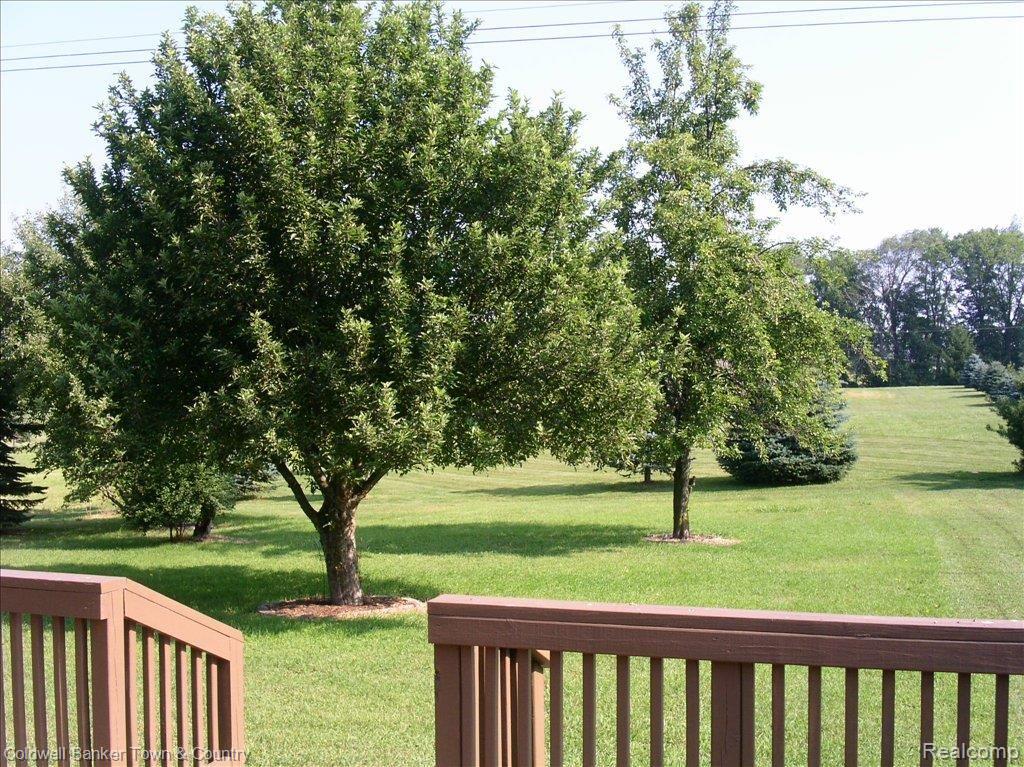 6125 Brophy Road Howell, MI 48855 - Photo 5 of 16 Back Yard