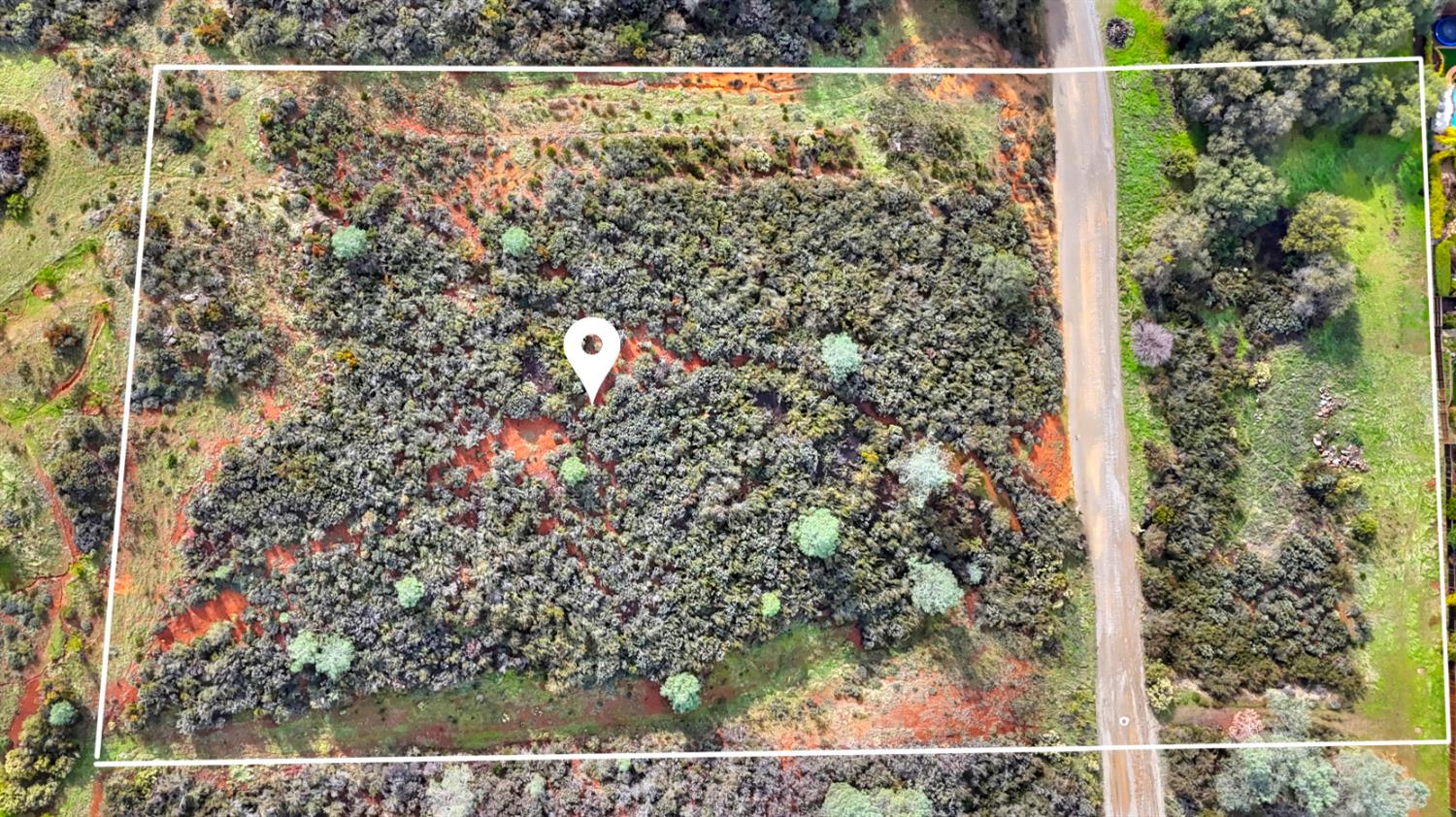 0 Rancho Tierra Court Cameron Park, CA 95682 - Photo 2 of 15 a view of a forest