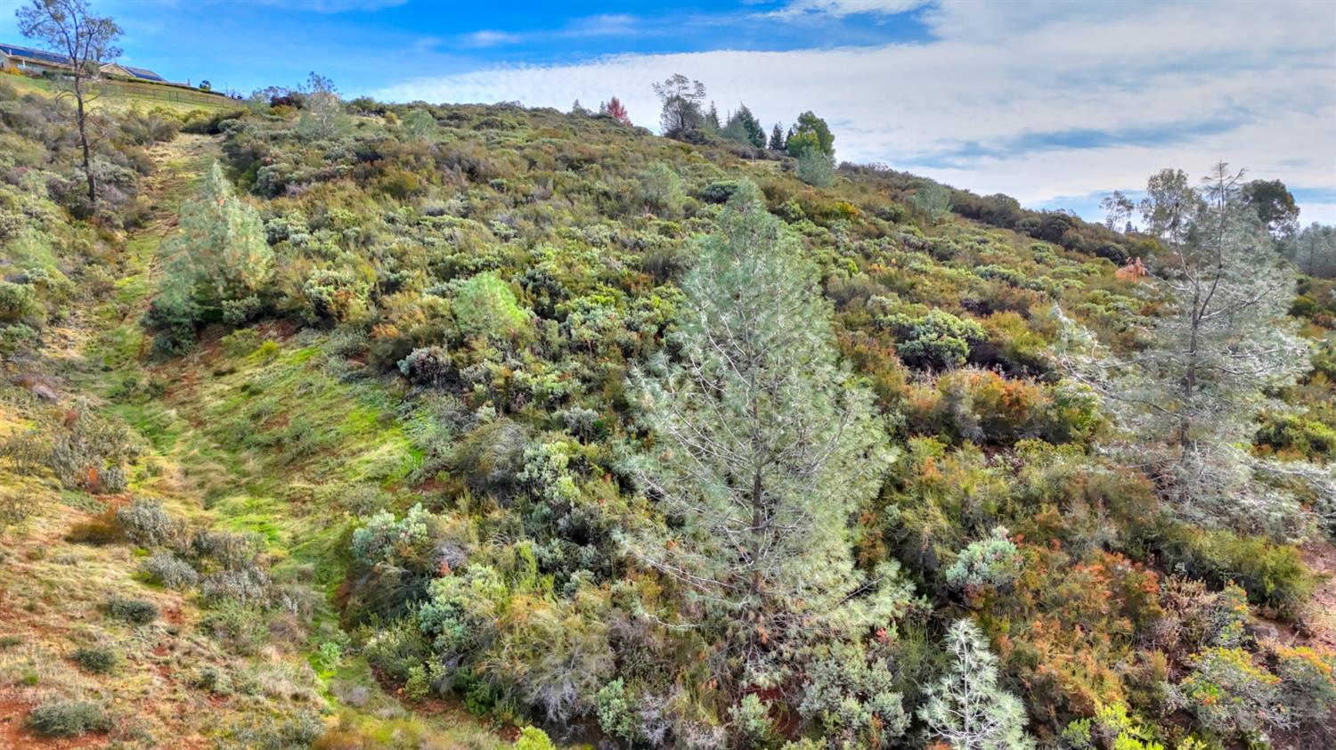 0 Rancho Tierra Court Cameron Park, CA 95682 - Photo 6 of 15 a view of a houses with a lush green hillside