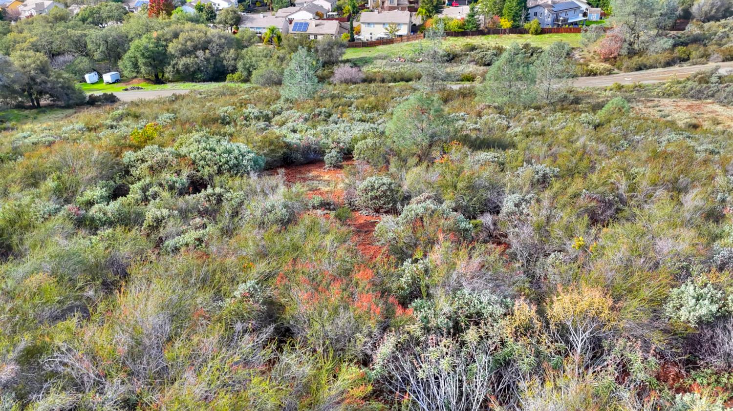 0 Rancho Tierra Court Cameron Park, CA 95682 - Photo 7 of 15 a view of a field with plants and trees