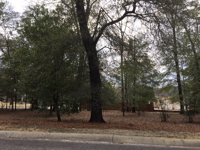1919-1 Garrard Street Columbus, GA 31906 - Photo 2 of 2