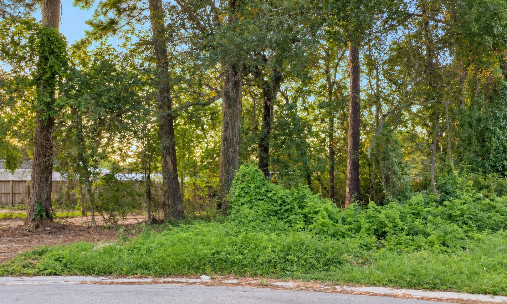11302 Mission Road Houston, TX 77065 - Photo 2 of 10 Gallery Image 2