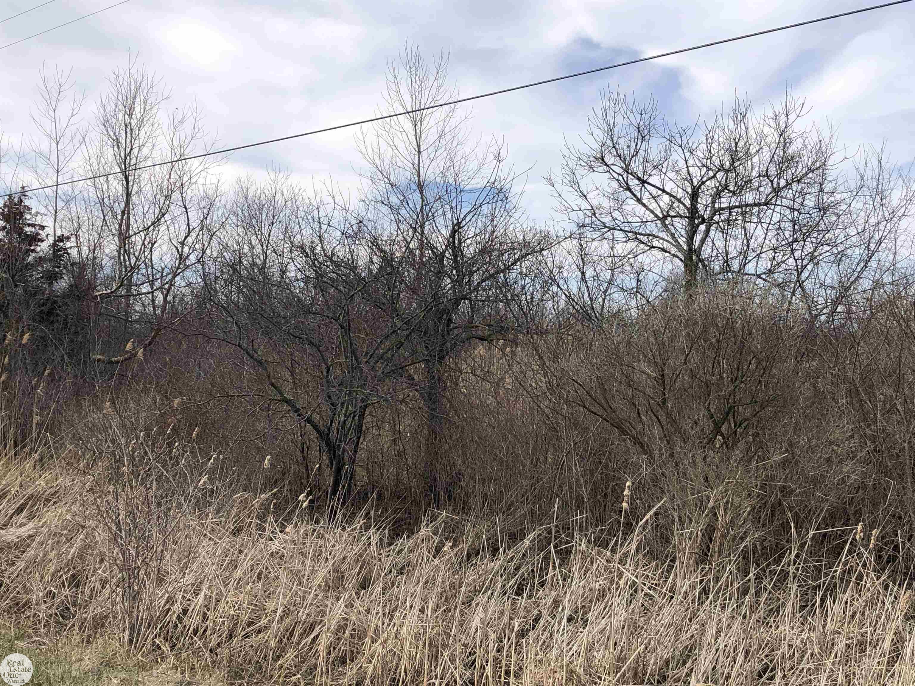 0 Short Cut Road Marine City, MI 48039 - Photo 4 of 4