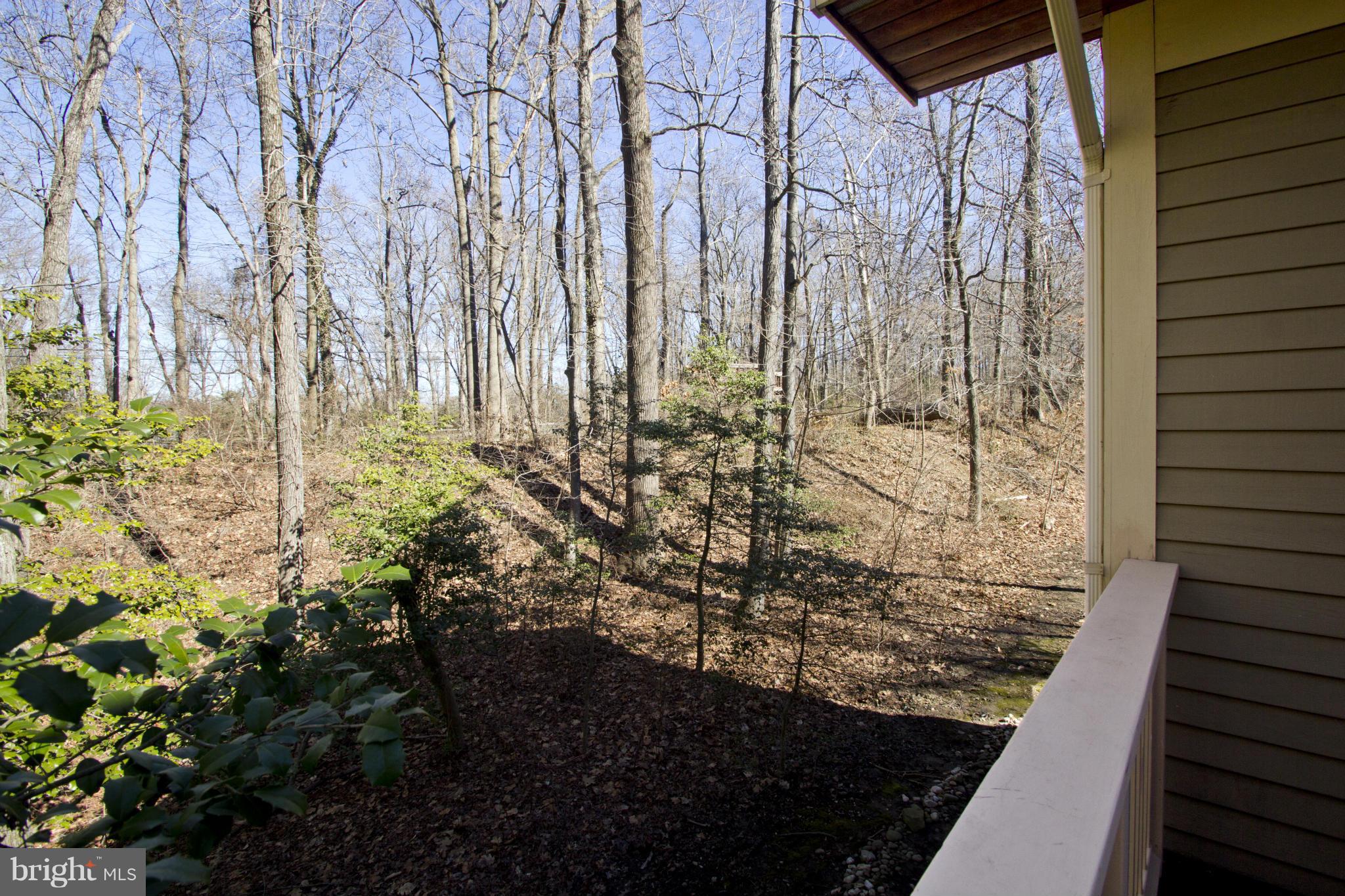413 Old County Road Severna Park, MD 21146 - Photo 21 of 28 View