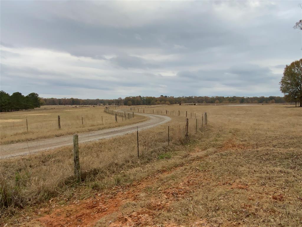 1 West Harrison Road Longview, TX 75604 - Photo 3 of 18 Private Road to Residence