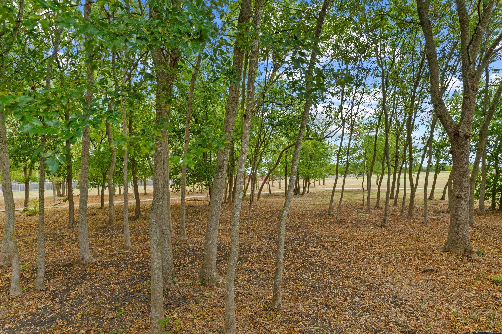 1020 Portchester Castle Path Pflugerville, TX 78660 - Photo 29 of 29 No back neighbors, only trees/woods and a beautiful greenbelt.