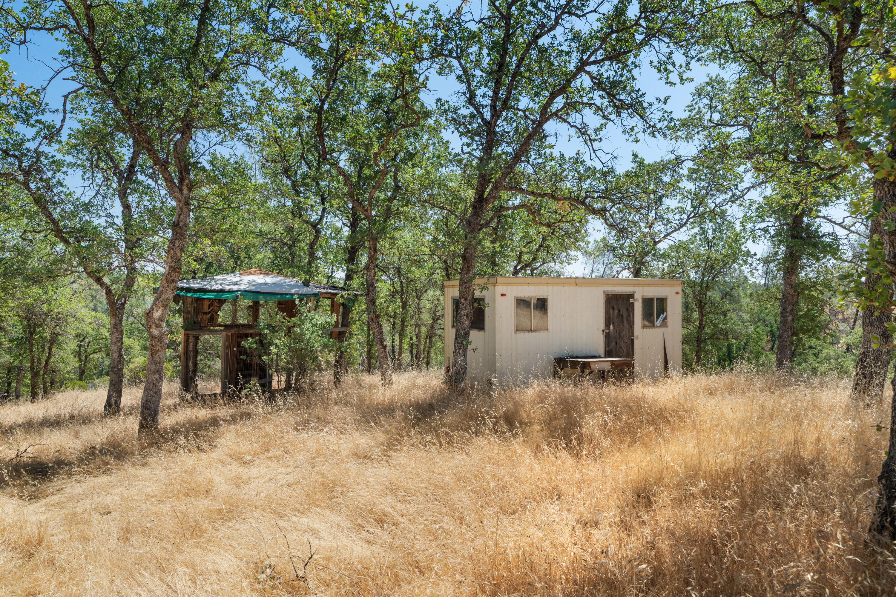 16720 Blue Oak Road Cottonwood, CA 96022 - Photo 24 of 35 a view of a barn in the middle of a yard